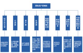 國有資產管理處簡介